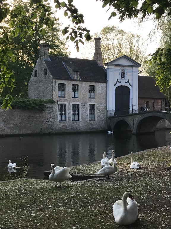Odevaere - Charming & Luxurious Apartment With Terrace Brugge Buitenkant foto